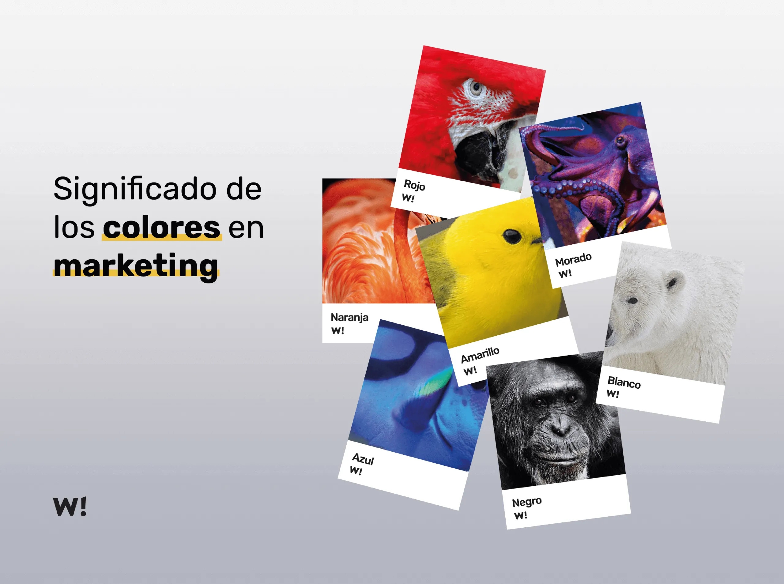 Significado de los colores en marketing