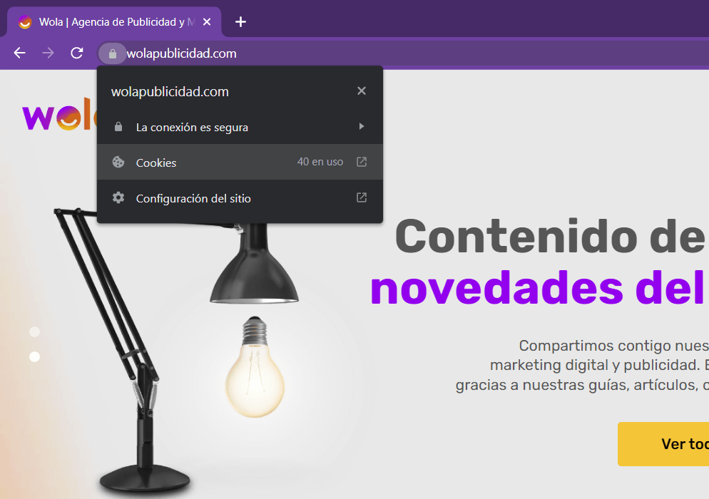 Cómo Borrar Las Cookies