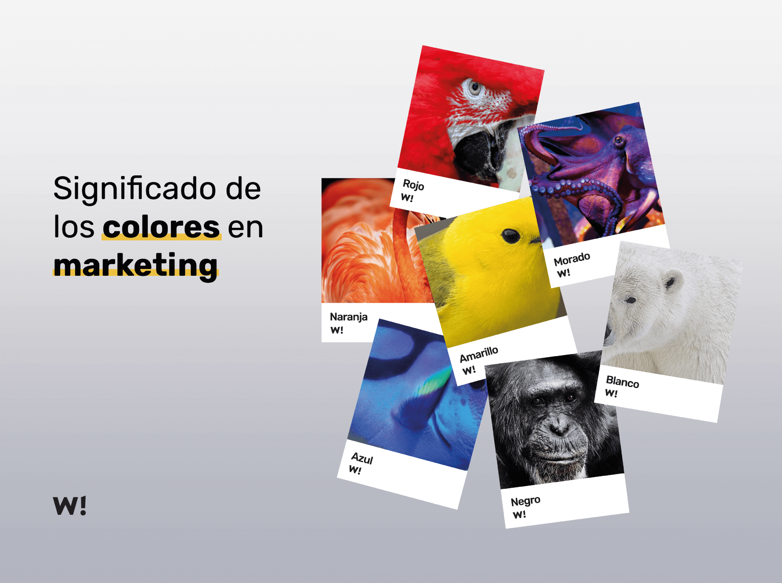 Significado de los colores