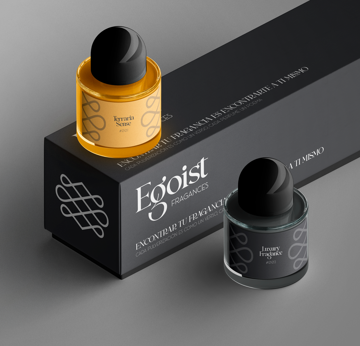 dos perfumes uno encima y otro al lado de una caja negra con la marca y frase inspiradora
